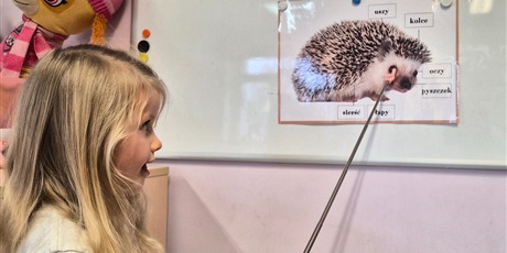 Powiększ grafikę: DZIEŃ JEŻA