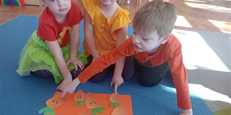 Powiększ grafikę: DZIEŃ MARCHEWKI
